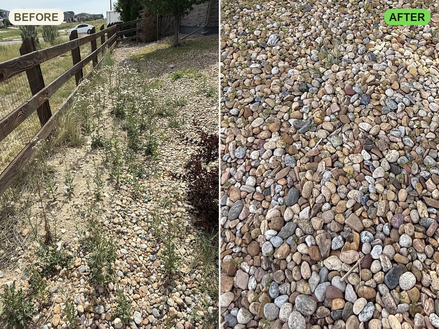 Before and after of weeds pulled and a bed cleared