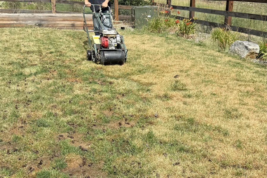 True Trim Lawns crew member aerating a lawn with Colorado mountains behind