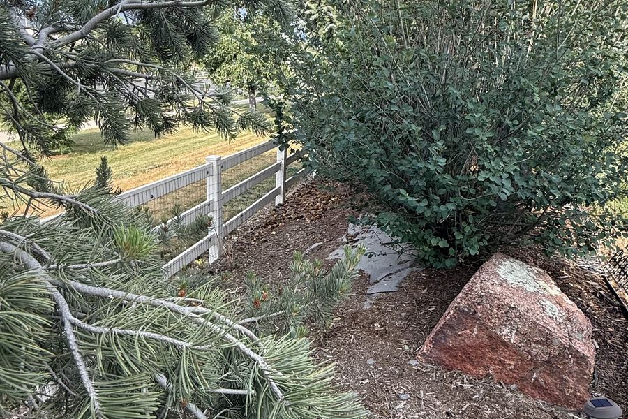 Cleared and tidied yard after a spring cleanup