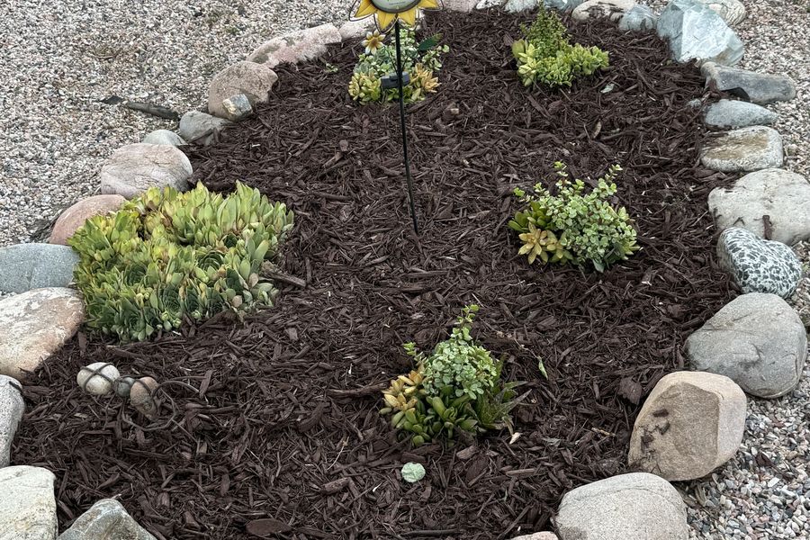 Fresh rock and mulch landscaping bed with plants